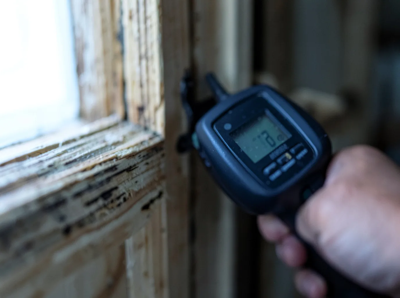 Moisture Inspection And Documentation in Lumber City, GA